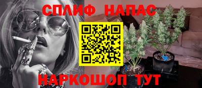 амф Кандалакша
