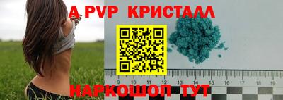 амф Кандалакша