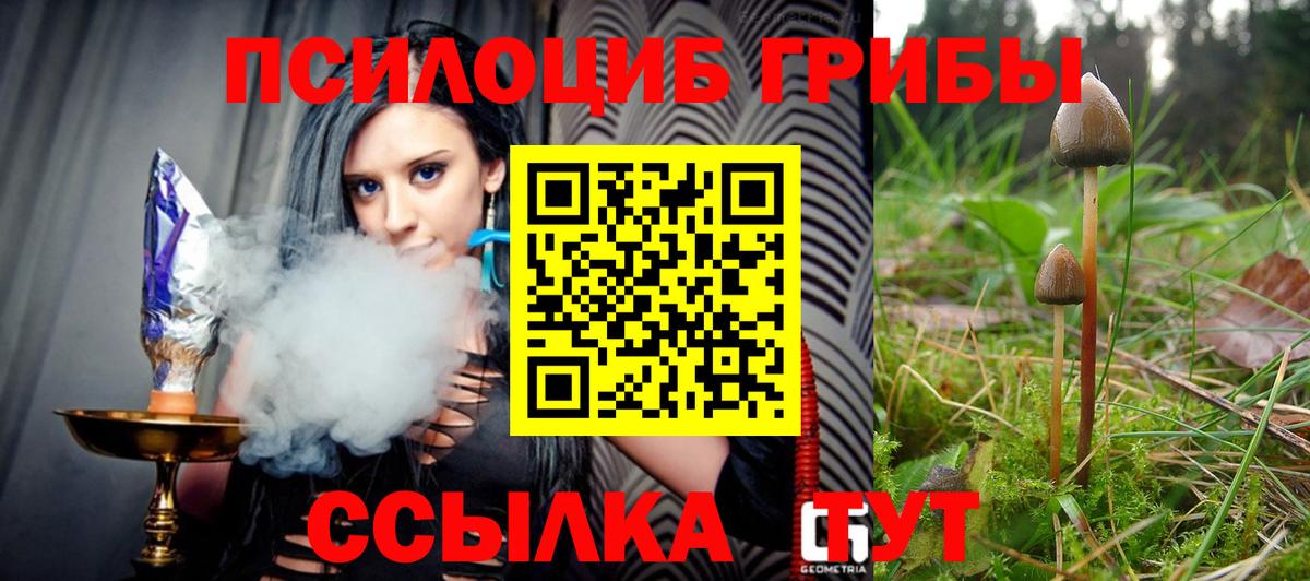 Псилоцибиновые грибы MAGIC MUSHROOMS  Вход с VPN  Псилоцибиновые грибы ЛСД  Старый Оскол 